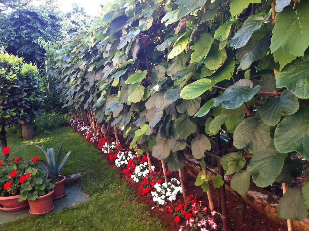 Apartament House Marić Poreč