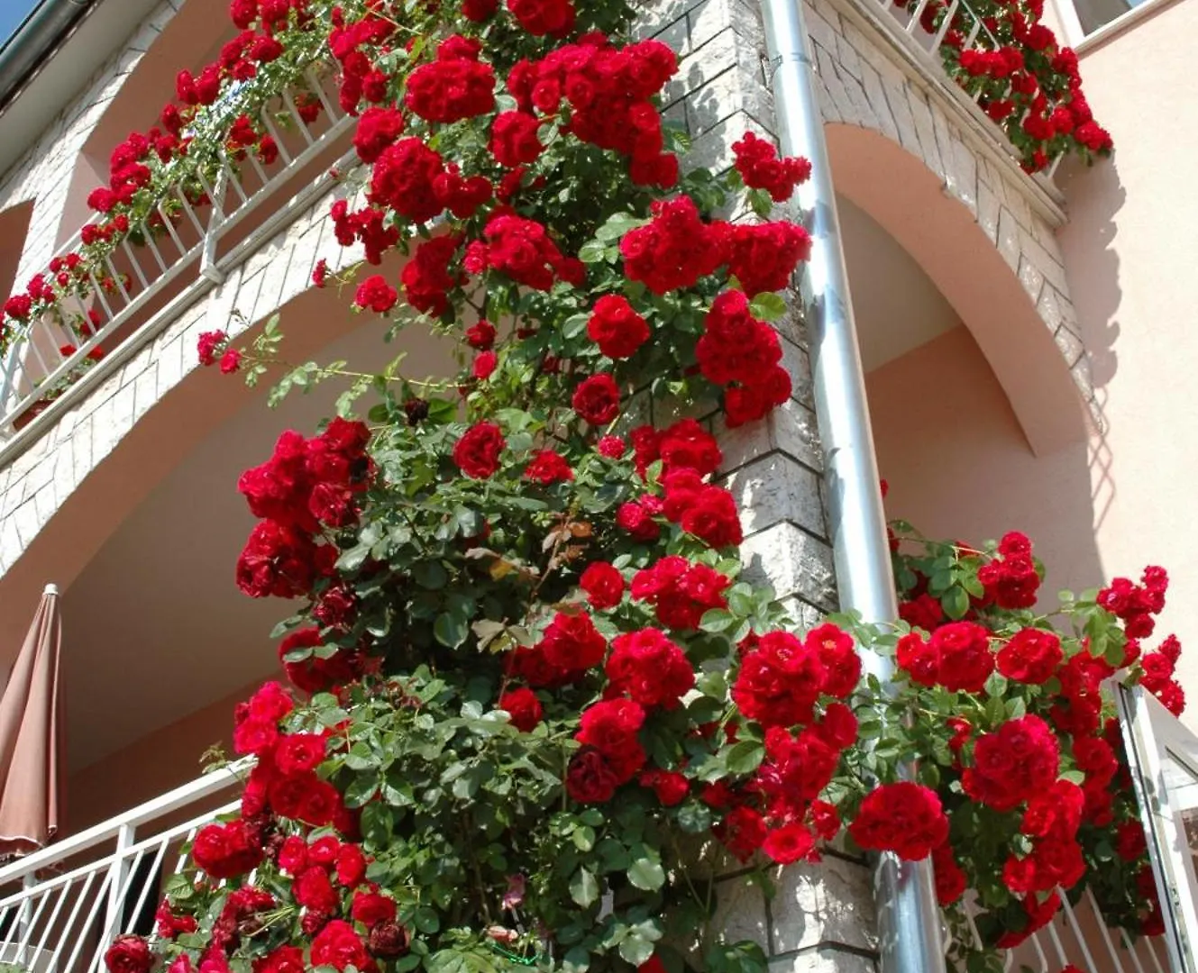 House Maric Apartment Porec Croatia
